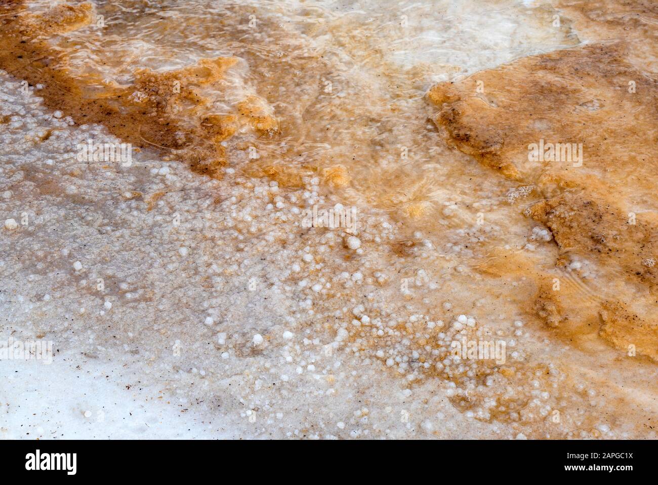 Dead Sea beach sand and salt Stock Photo - Alamy