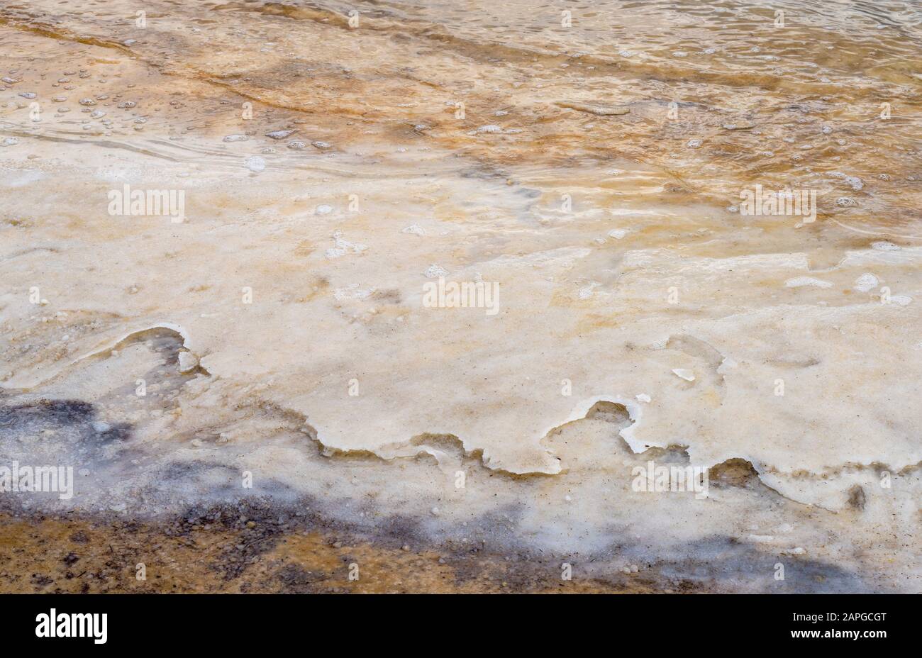 Salt cover at the Dead sea beach Stock Photo