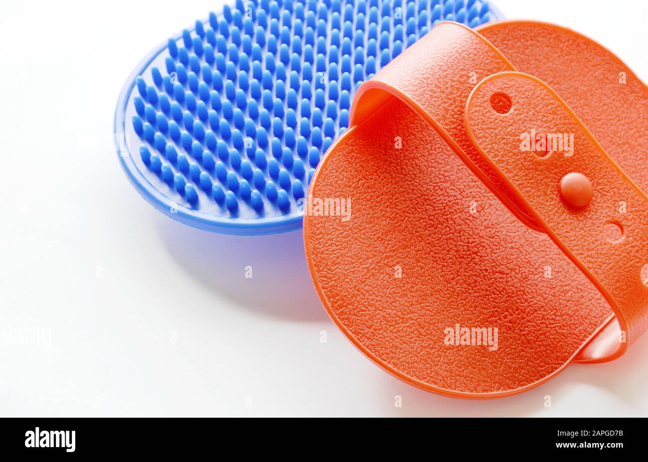 blue and red rubber pet bath brush on white background Stock Photo Alamy