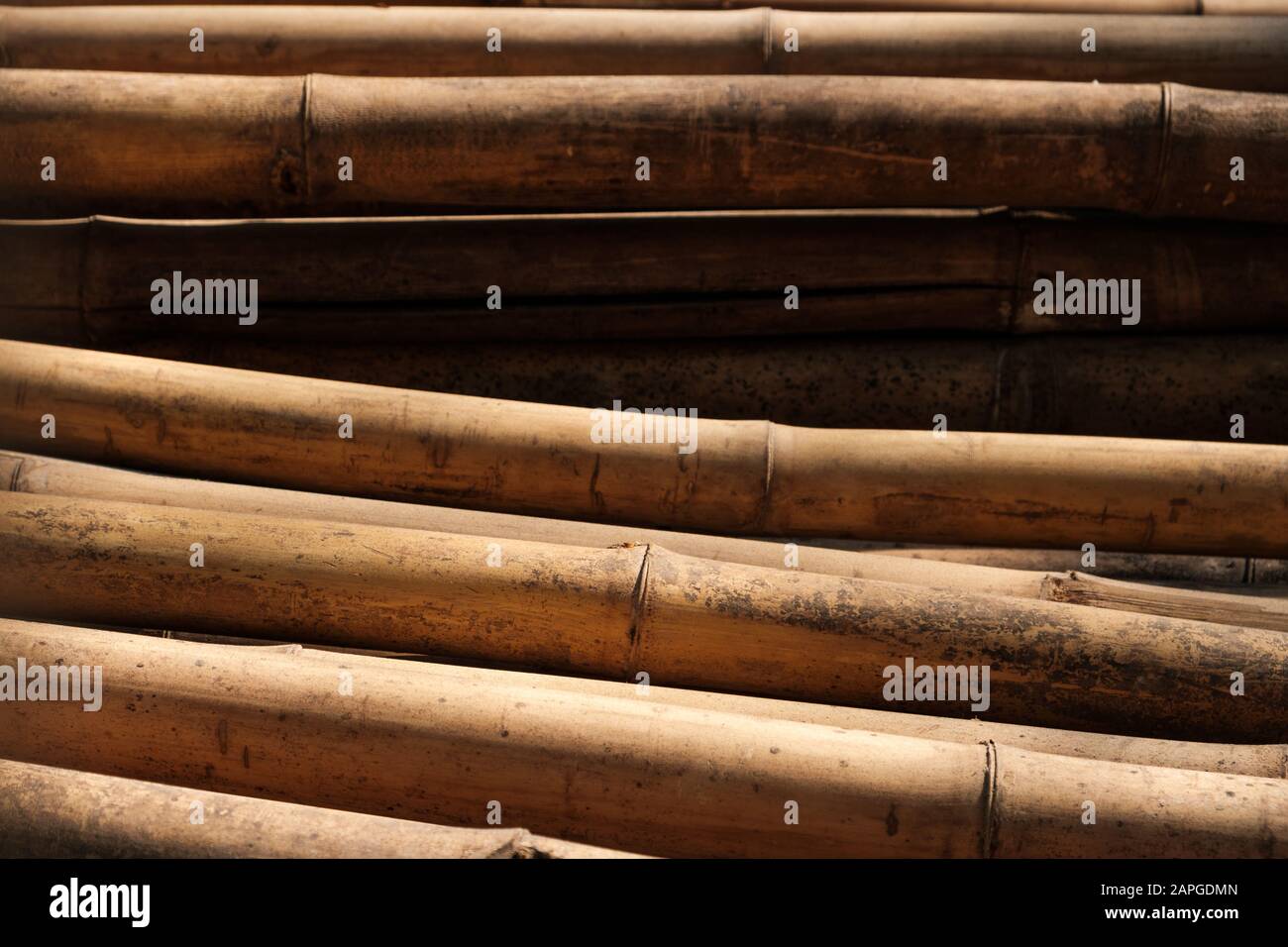 Bamboo poles closeup used for scaffolding on building  site - Stock Photo