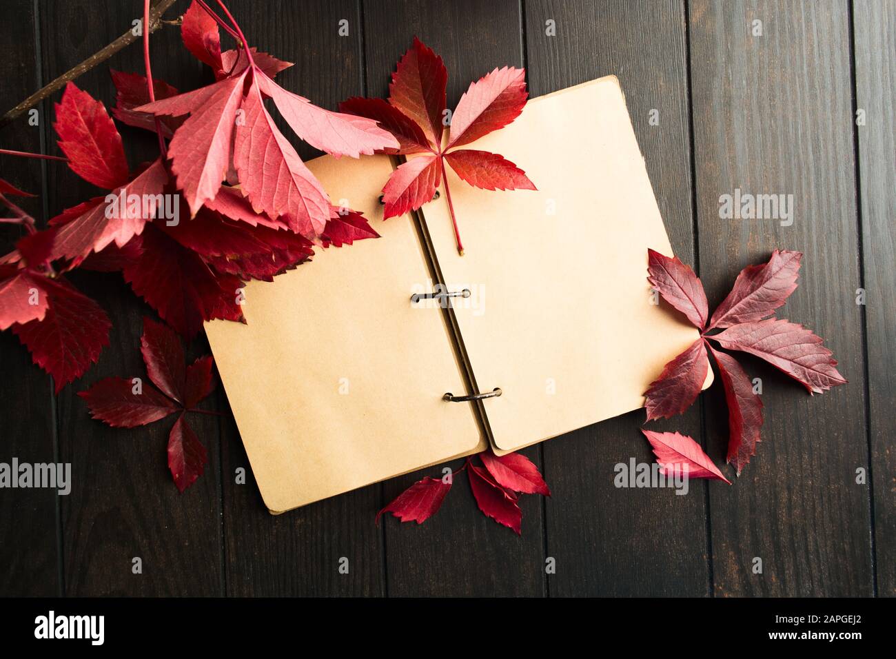 Autumn empty diary with red fresh natural leaves over dark wooden background. Copy space. Flat lay. Fall concept. Craft open notebook with space for t Stock Photo