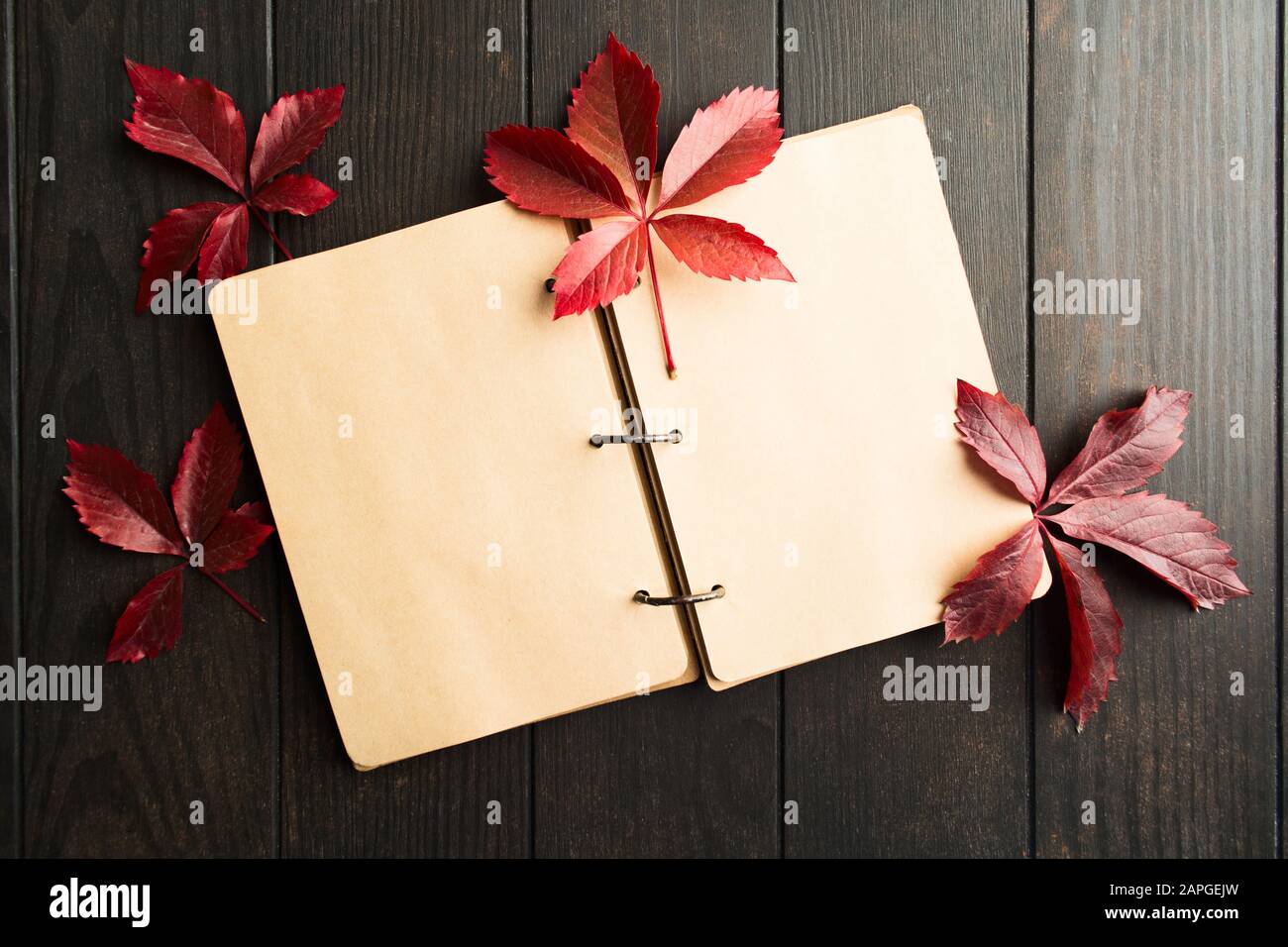 Empty open craft notebook with red atumn leaves of parthenocissus over brown wooden table. Copy space. Top view, flat lay Stock Photo