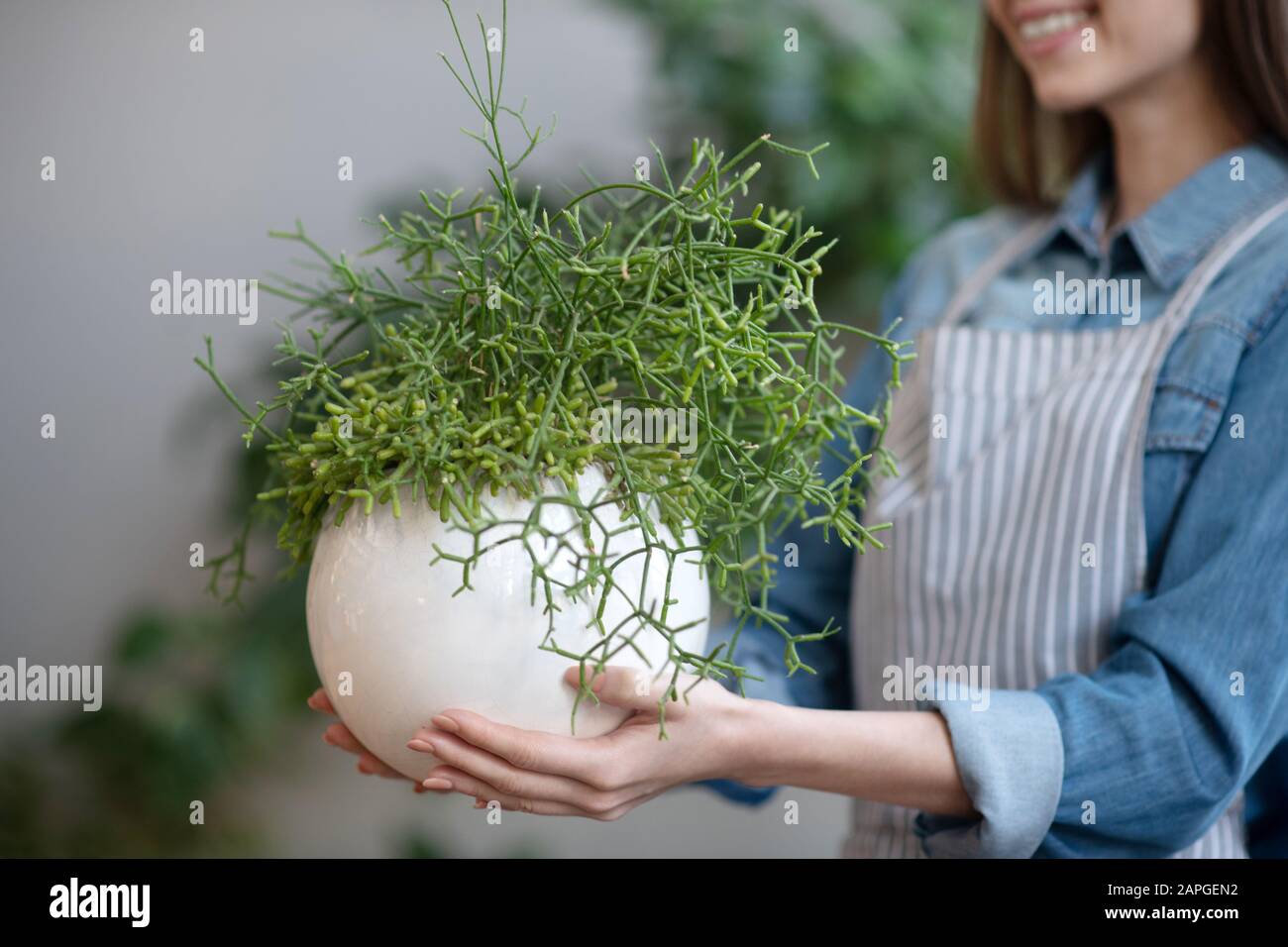 Woman holding a round pot with a beautiful plant Stock Photo