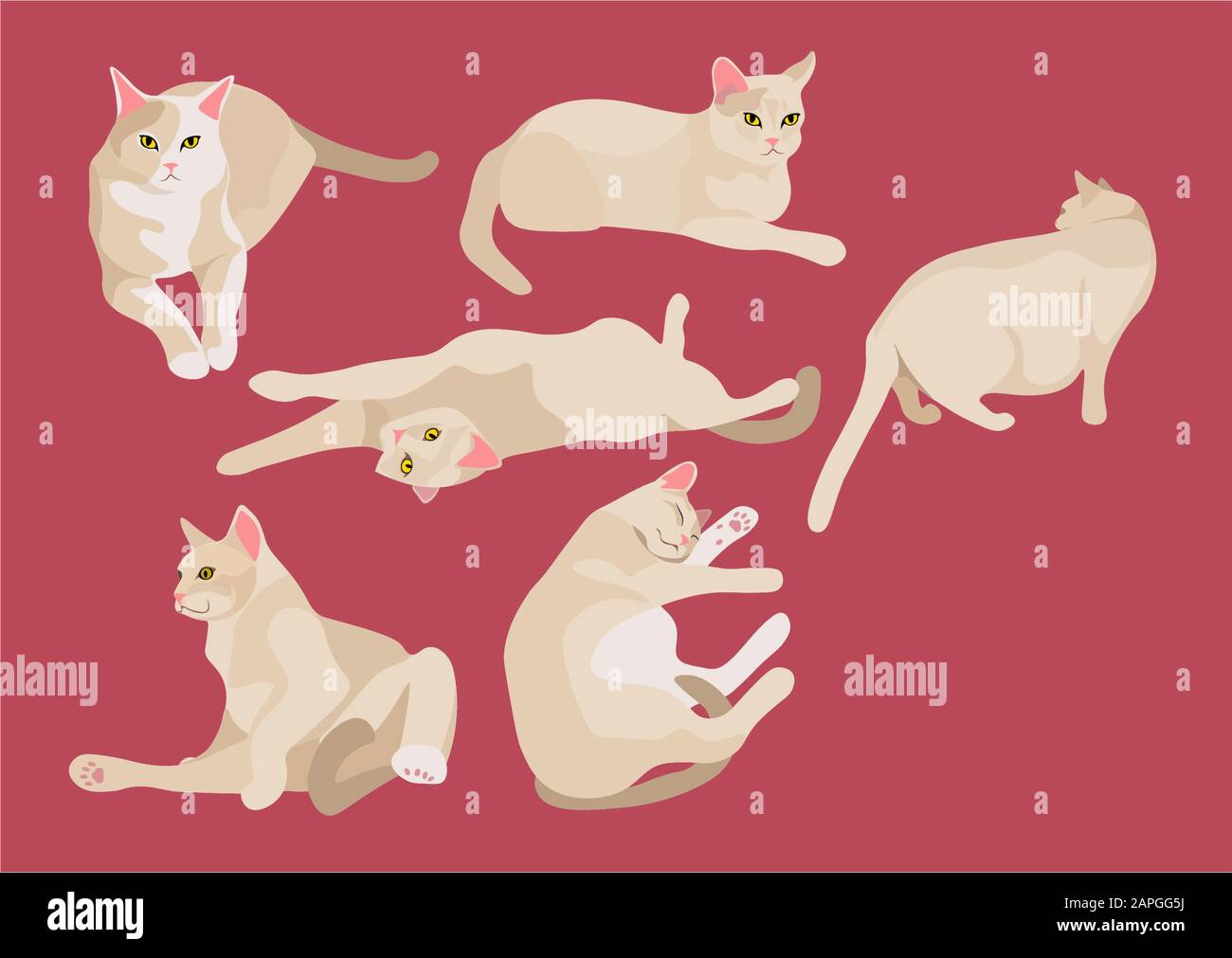 Hand drawn Animals pets vector illustrations 002 Stock Vector Image ...