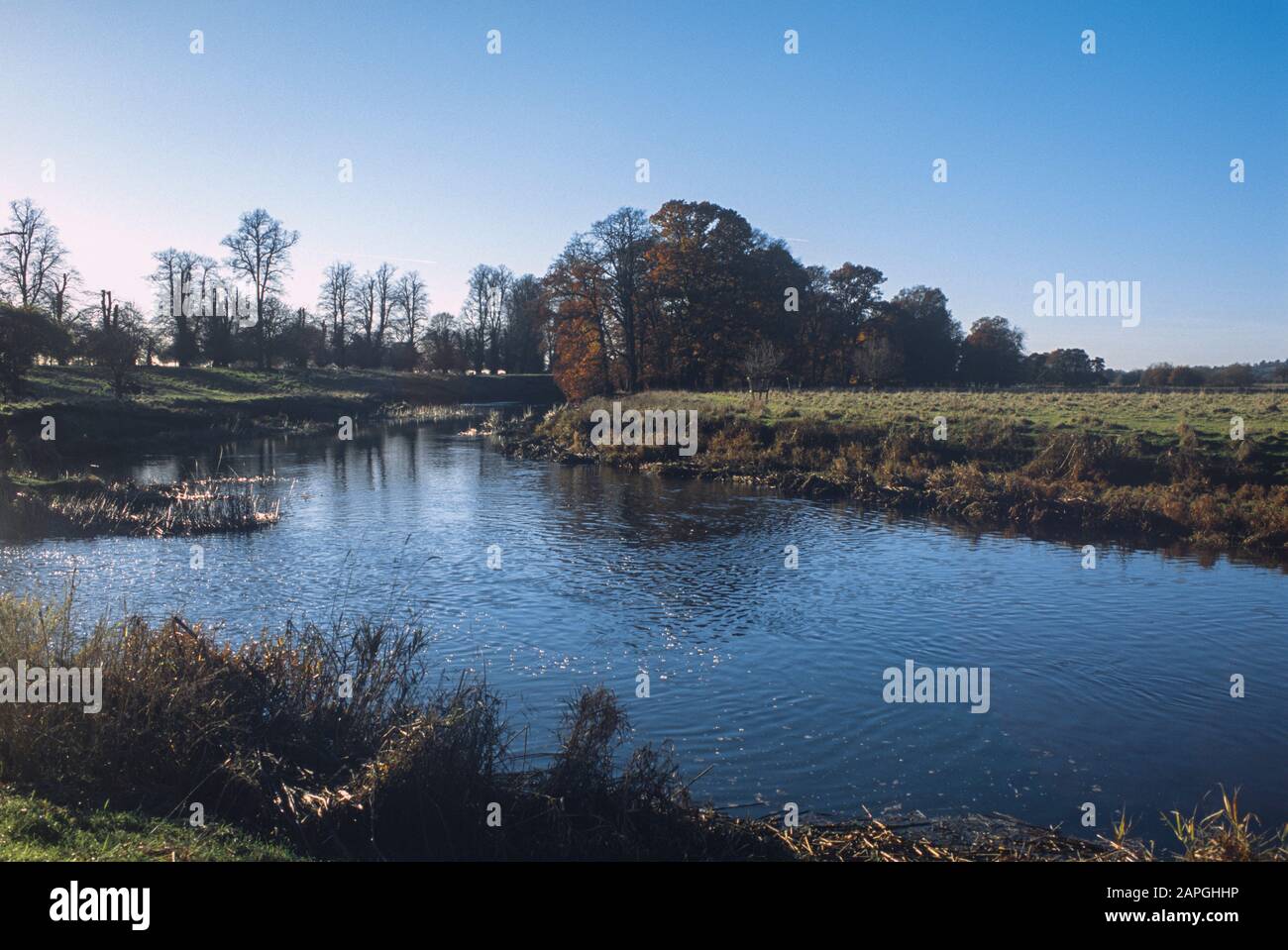 river avon warwickshire england uk Stock Photo Alamy