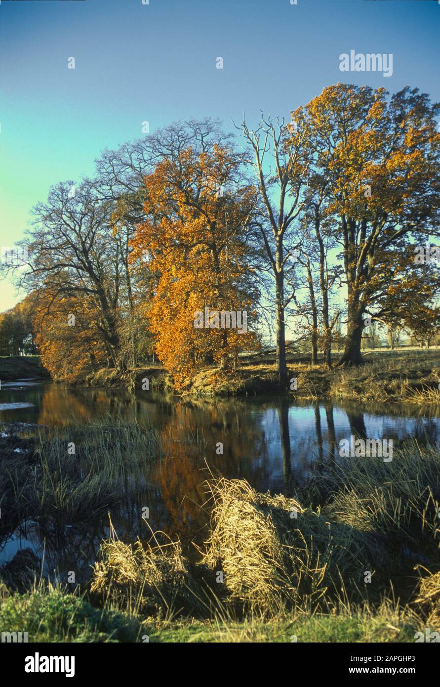 river avon warwickshire england uk Stock Photo Alamy