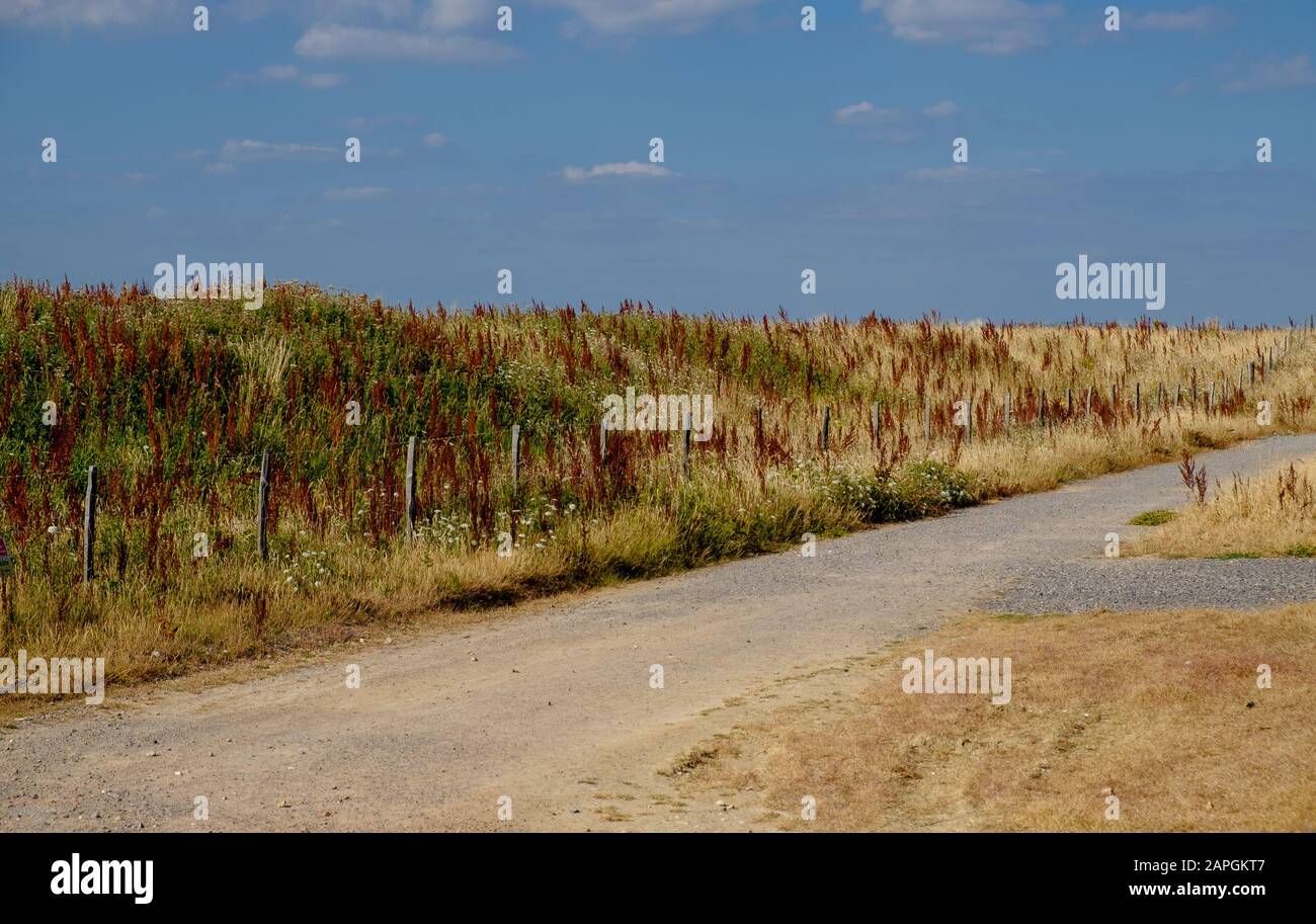 A trail next to fields at Medmerry Nature Reserve, an Environment Agency flood protection scheme in Sidlesham, West Sussex, England. Stock Photo