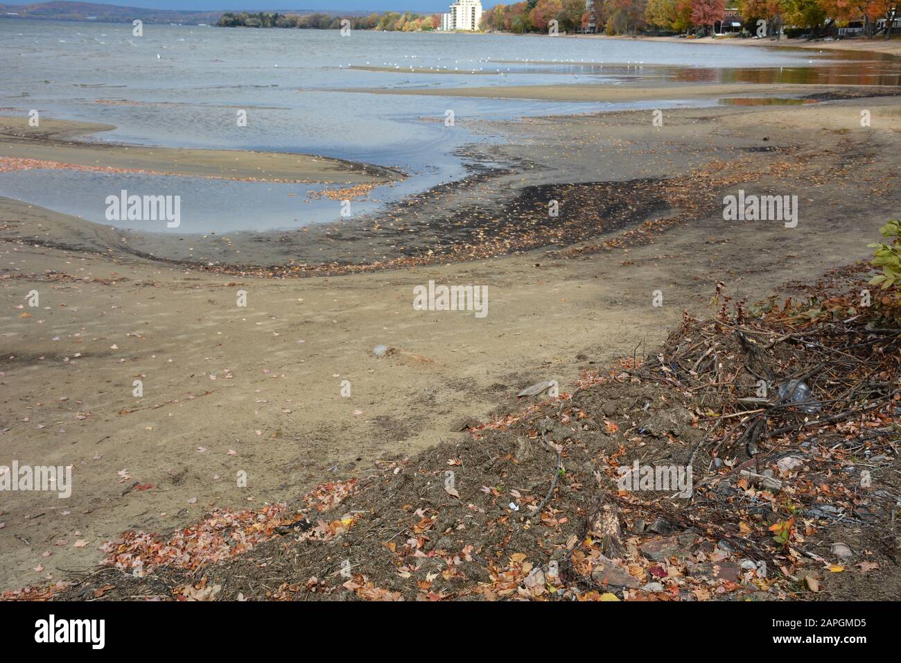 Patterns on sandy beach and leaves in fall Stock Photo