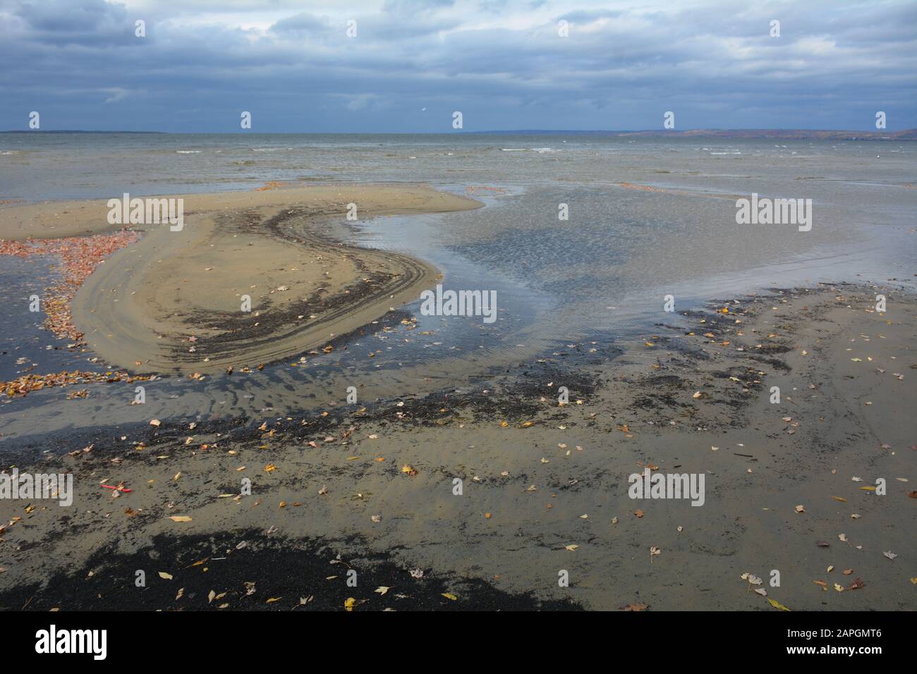 Patterns on sandy beach and leaves in fall Stock Photo