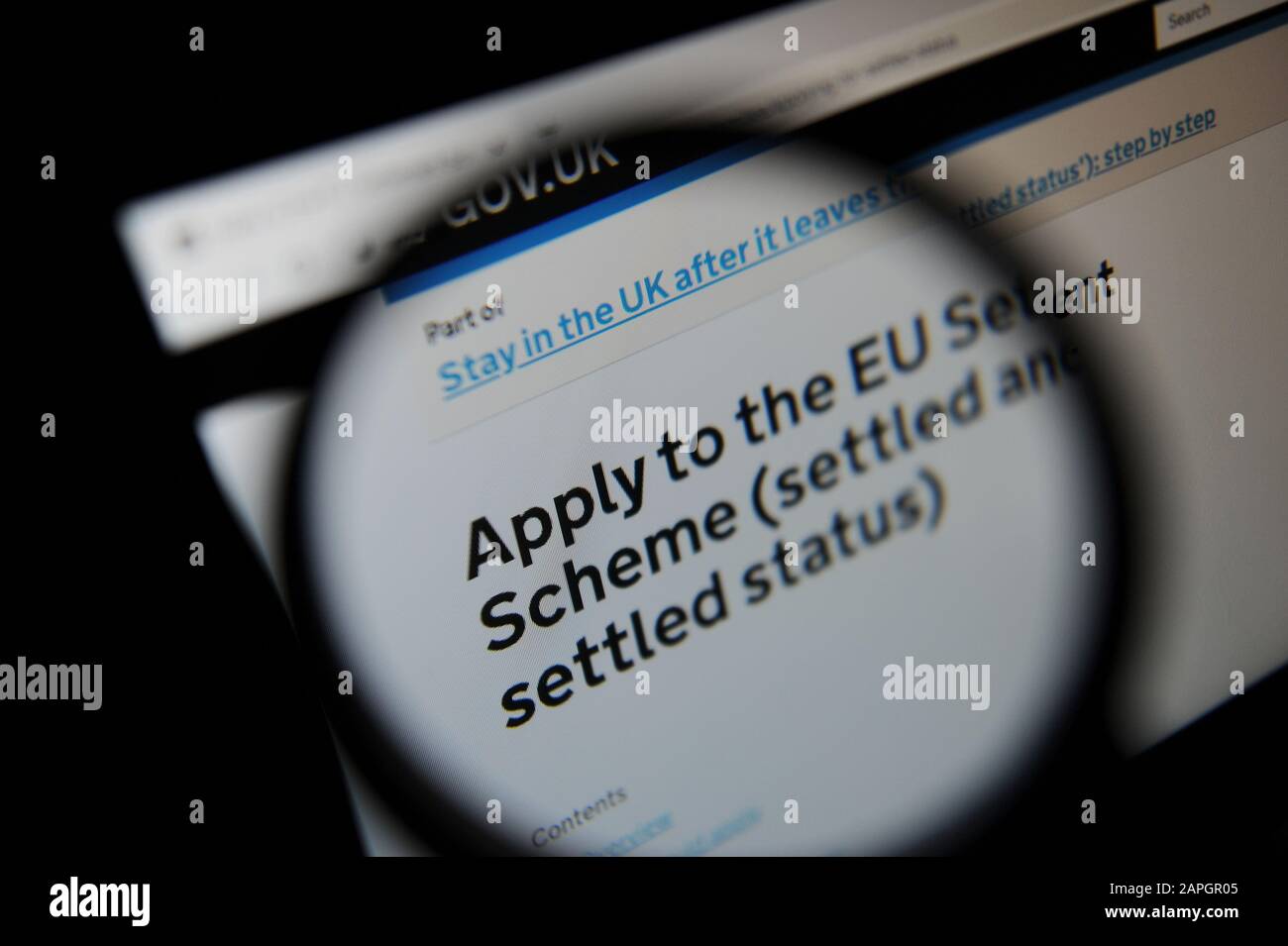 Advice on Applying to the EU Settlement Scheme seen through a magnifying glass on the UK government website Stock Photo