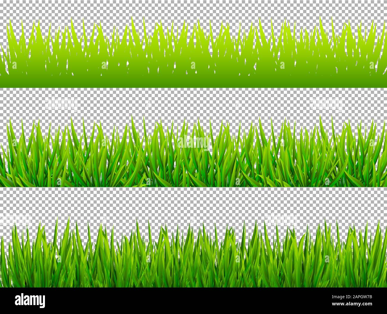 Green grass borders set on transparent background vector Stock Vector ...