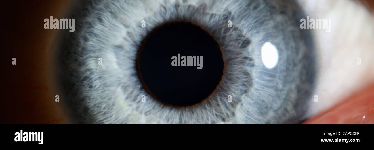 Closeup view human eye hi-res stock photography and images - Alamy