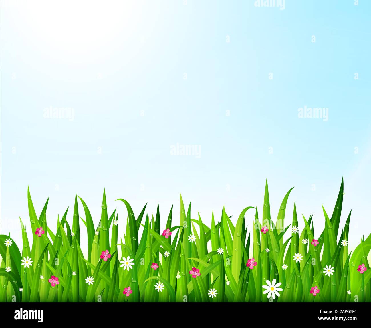 Nature background with green grass and flowers. Vector illustration ...