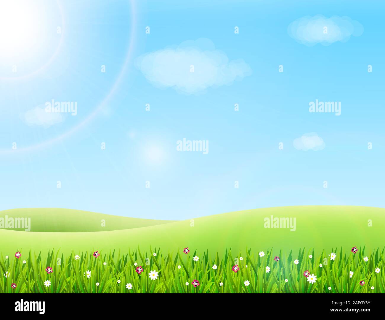 Summer meadow landscape with green grass, flowers, hills and sun ...