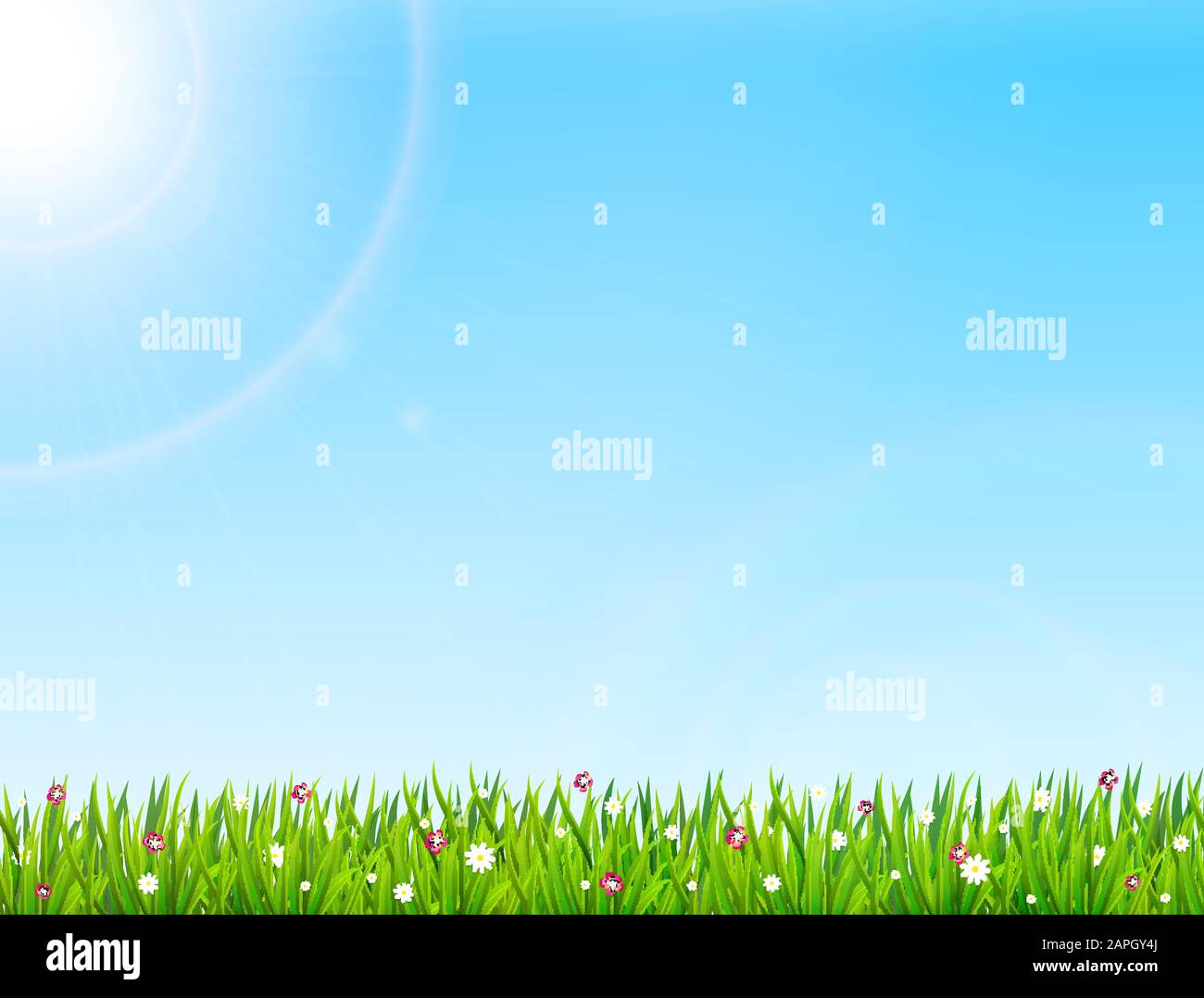 Spring or summer nature background with green grass and flowers. Vector illustration Stock Vector