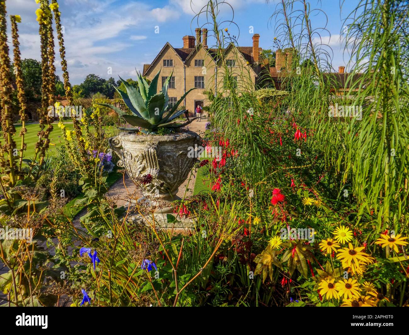 lush english country cottage garden Stock Photo Alamy