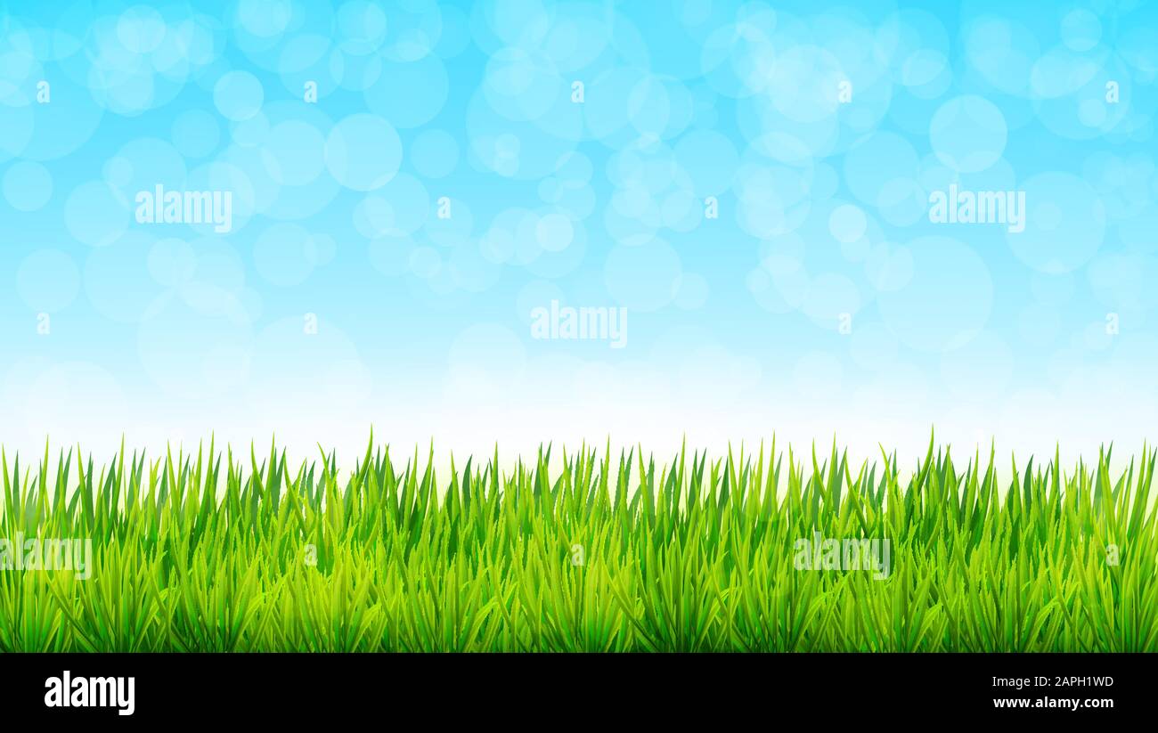 Nature background with green grass and blue sky. Vector ...