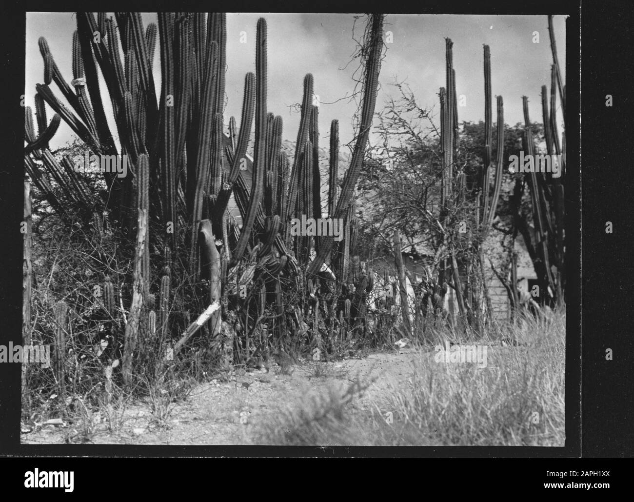 Knoek Black and White Stock Photos & Images - Alamy