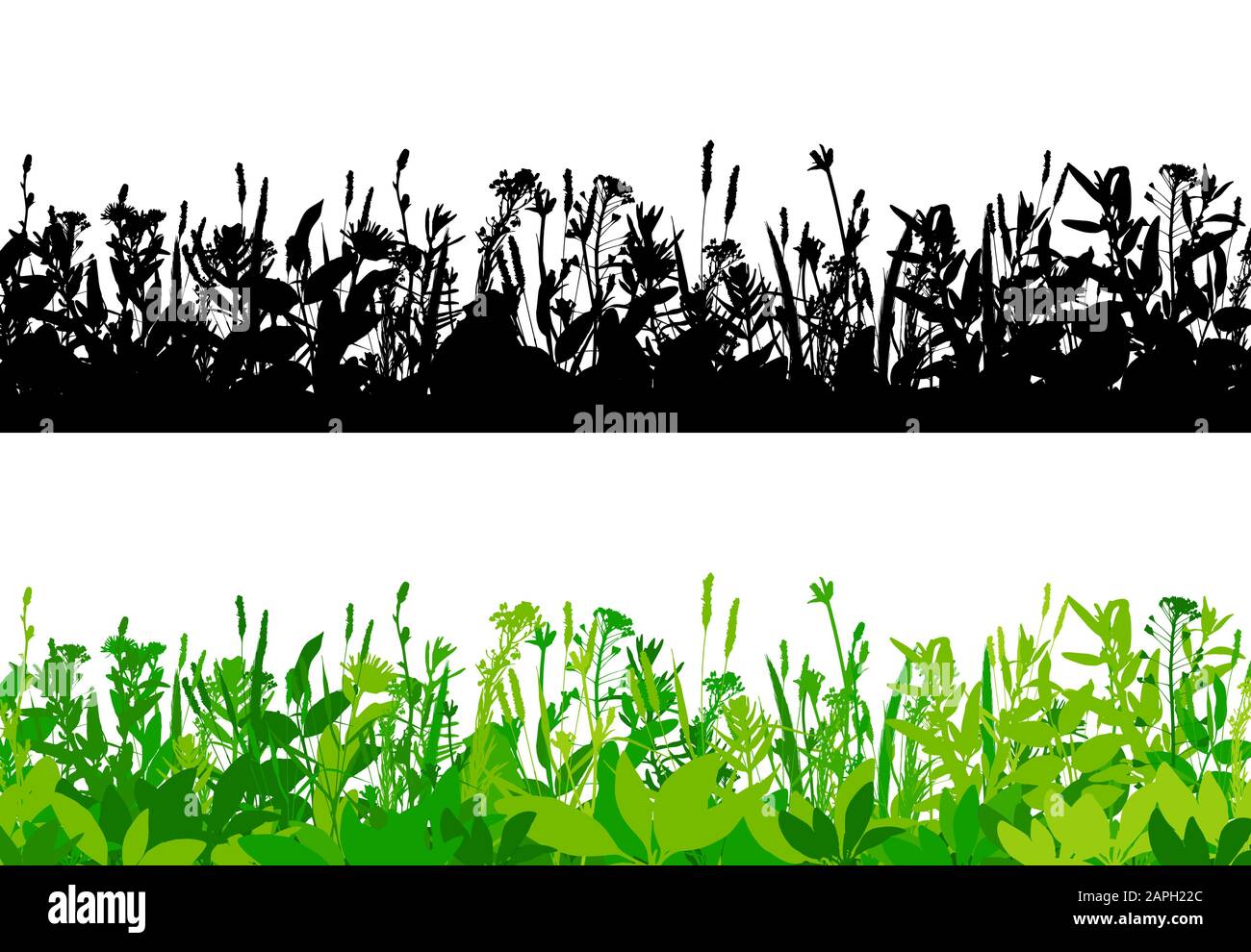 Vector grass borders set isolated on white background Stock Vector ...
