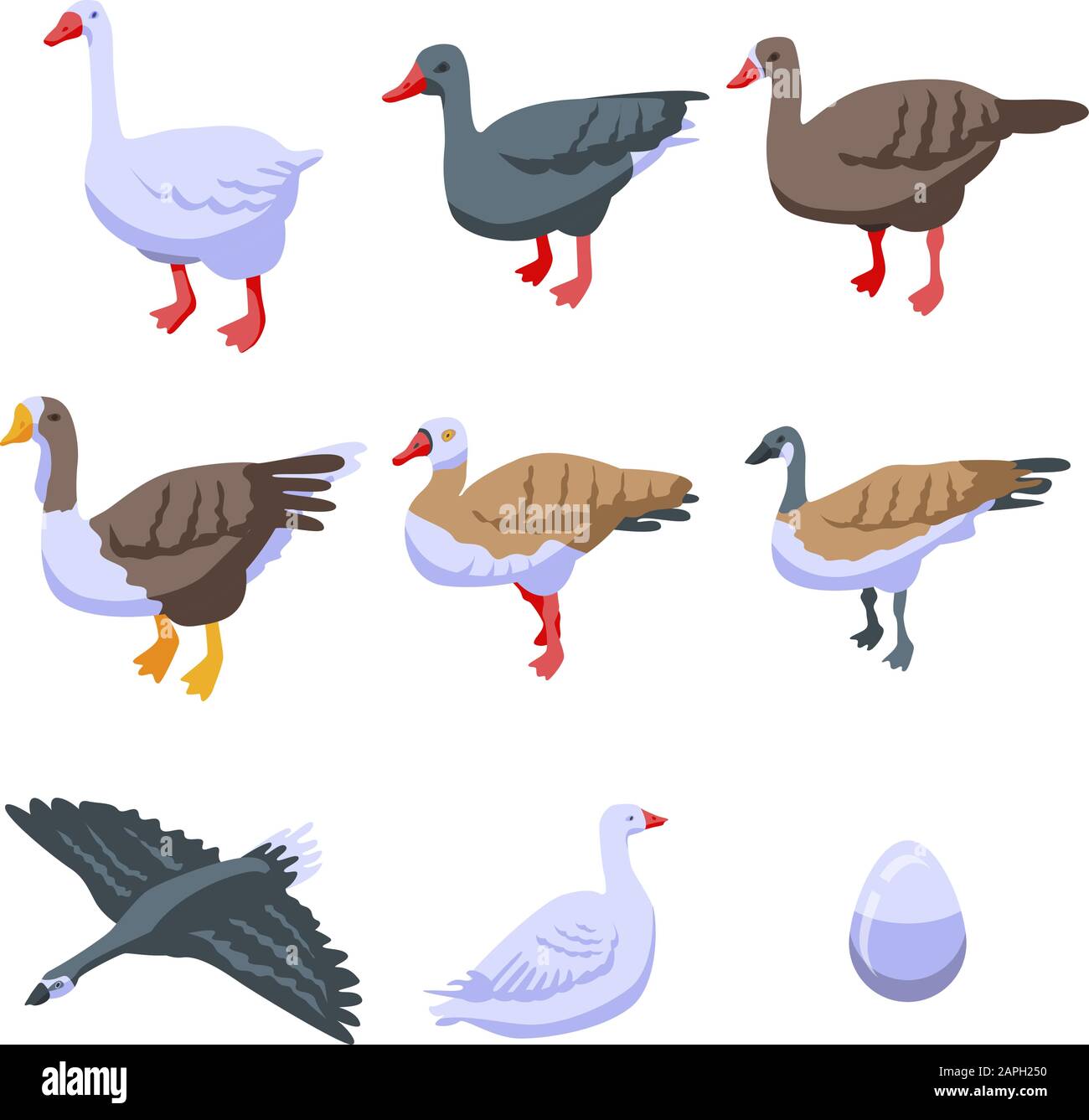 Goose icons set, isometric style Stock Vector