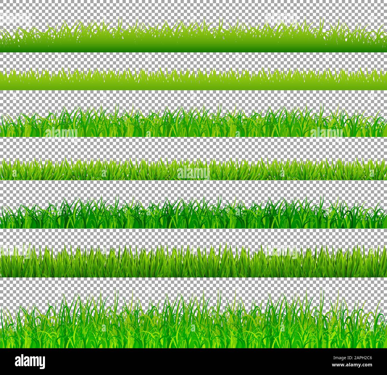 Green grass borders set on transparent background vector Stock Vector ...