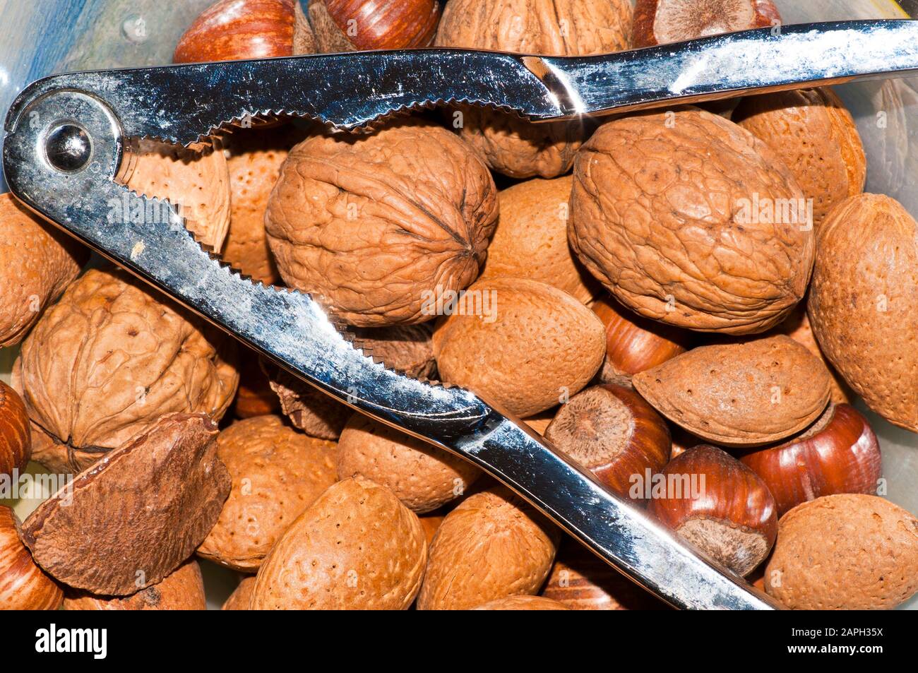 Buy Nut Crackers For All Nuts Walnut Cracker For Pecans Hazelnut