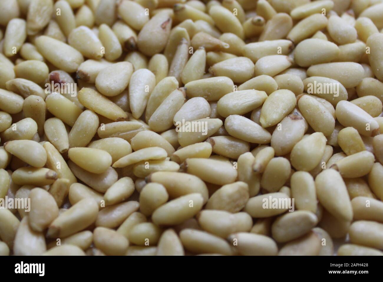 The picture shows many pine kernels Stock Photo - Alamy
