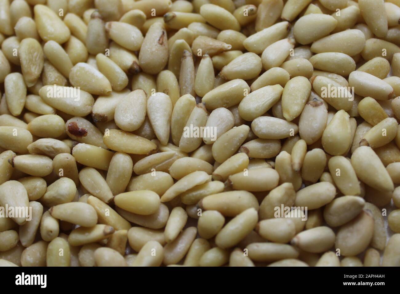 The picture shows many pine kernels Stock Photo - Alamy