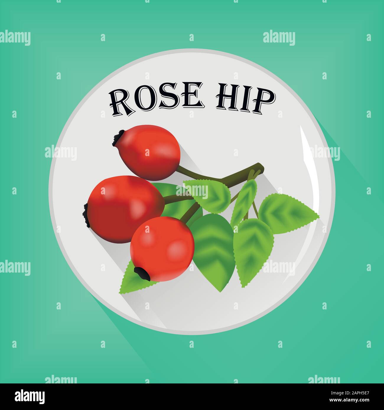 Rose hip seasoning sticker flat icon vector image Stock Vector