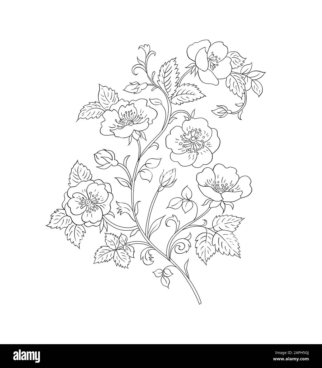 Flower motif sketch for design Royalty Free Vector Image
