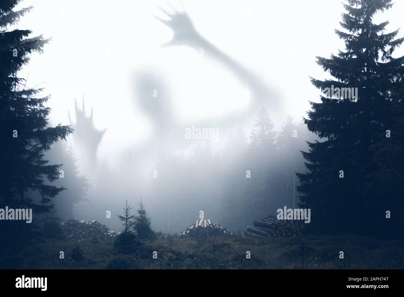 Ghostly figure in the mist fores Stock Photo