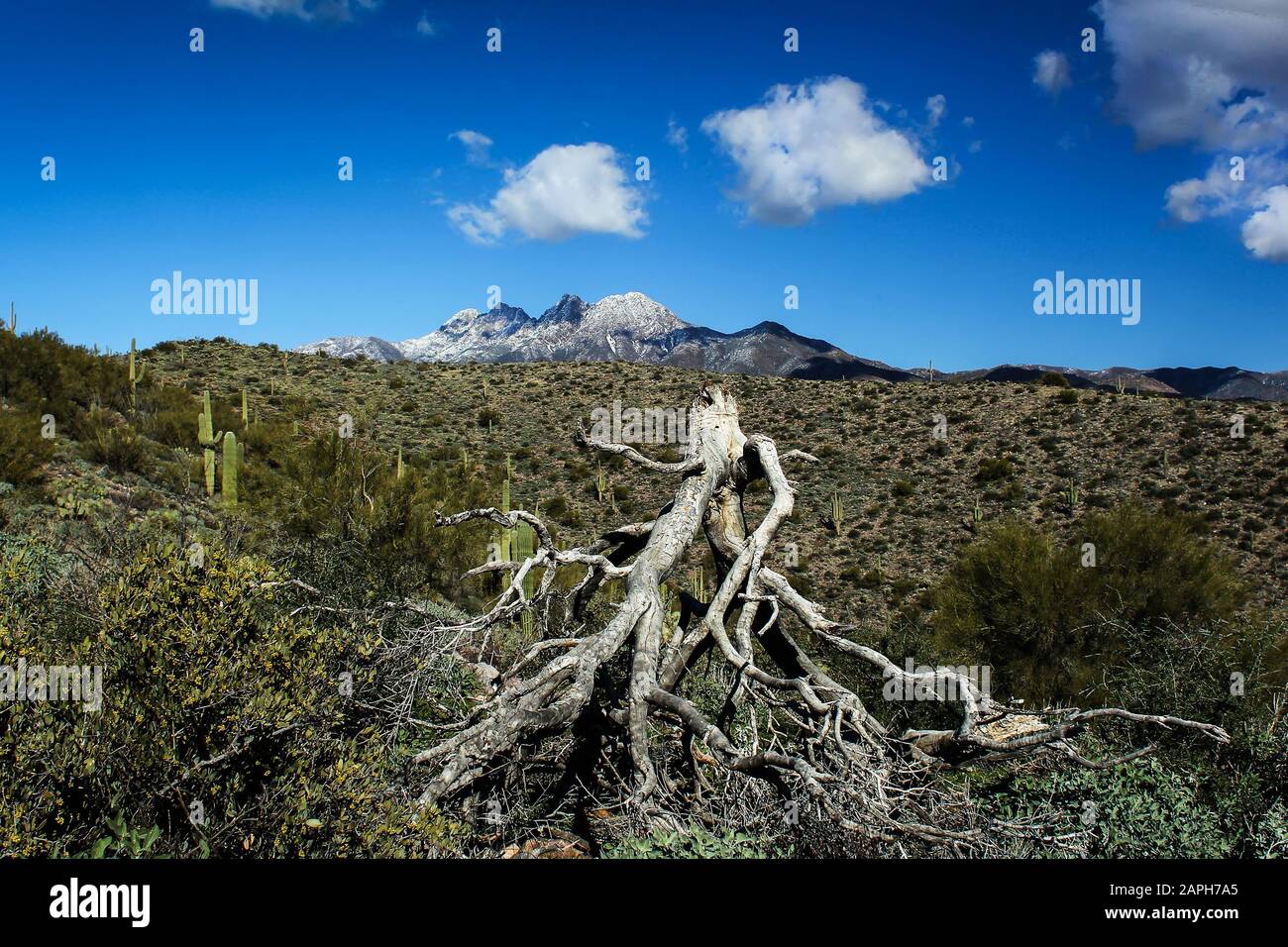 Four Peaks with Snow-Tonto National Forest. Stock Photo