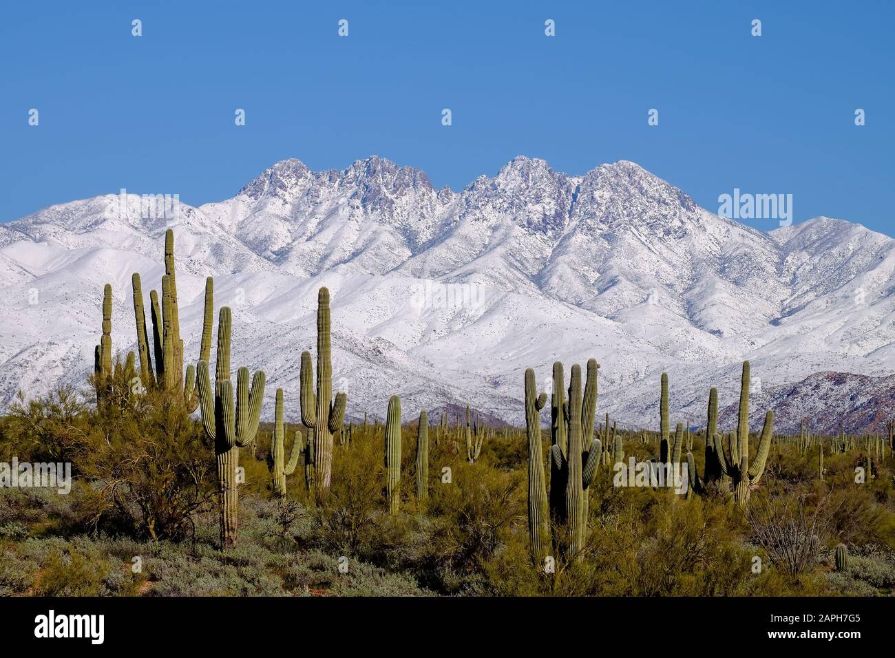 Four Peaks with Snow-Tonto National Forest. Stock Photo