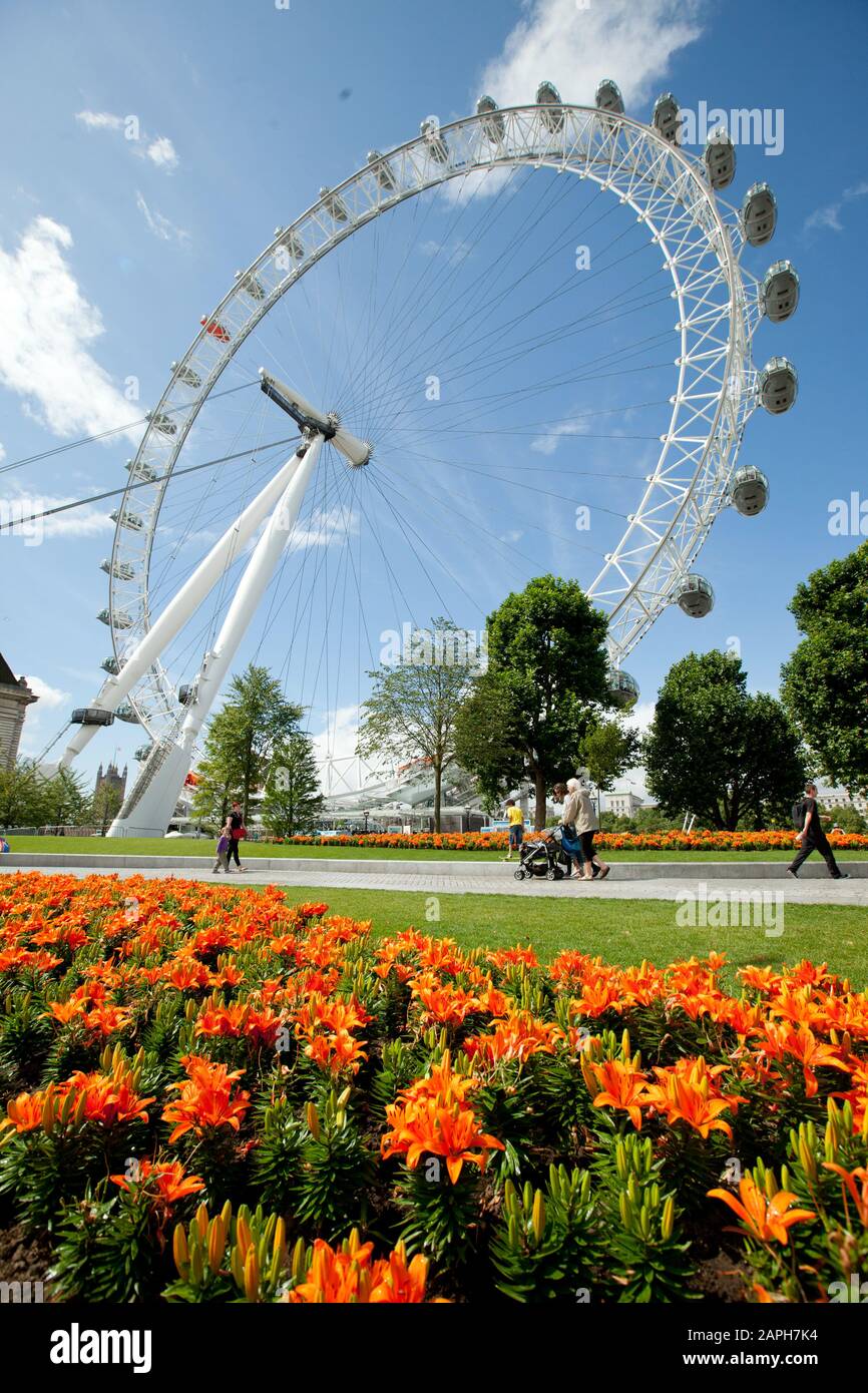Flowers bloom at the Jubilee Gardens beside the London Eye Stock Photo