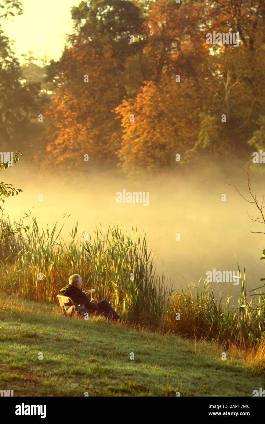 Man sitting alone beside reeds early morning fishing rod & mist covered lake autumn trees in Essex countryside Weald Country Park Brentwood England UK Stock Photo