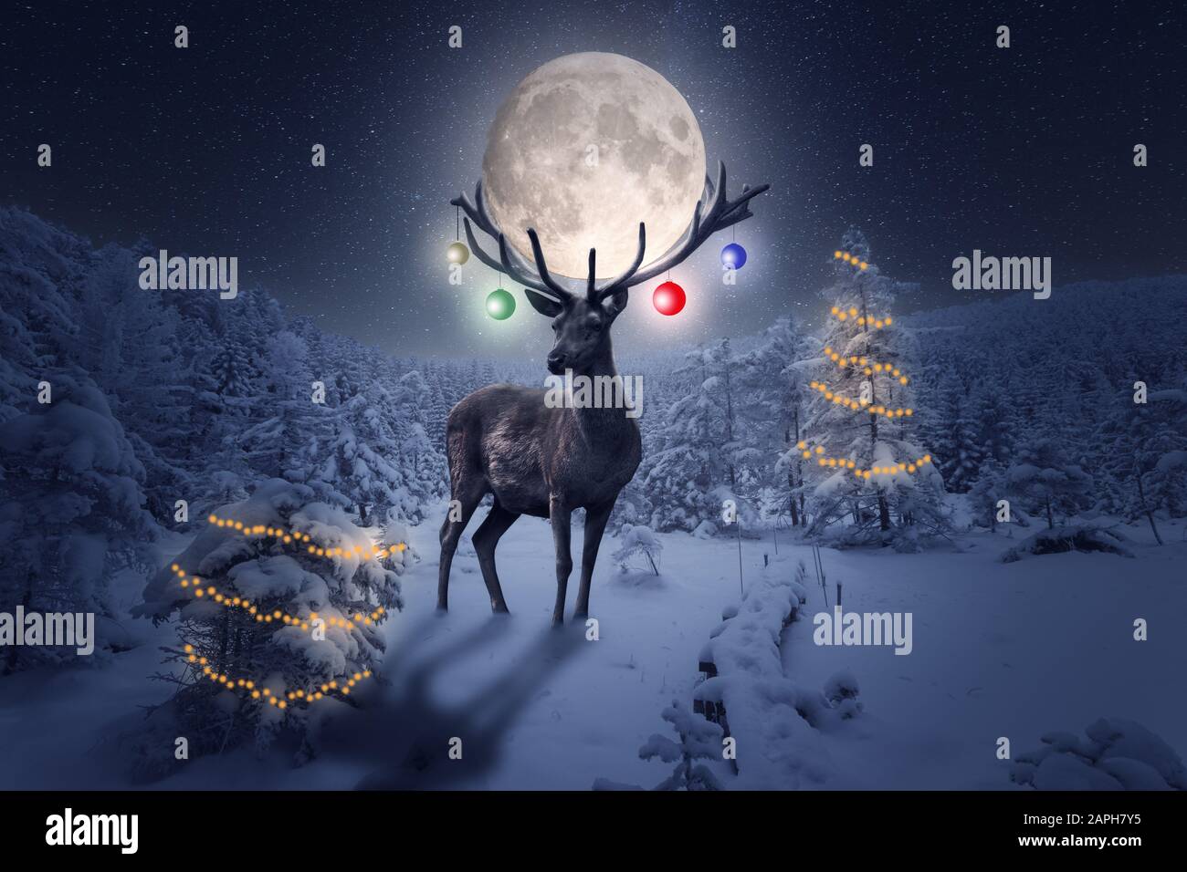 A deer with Christmas decorations stands in the winter forest Stock Photo
