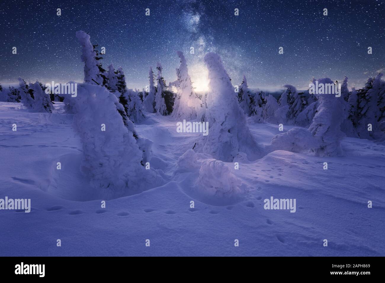 Winter landscape with snow-covered trees and a starry night sky Stock ...