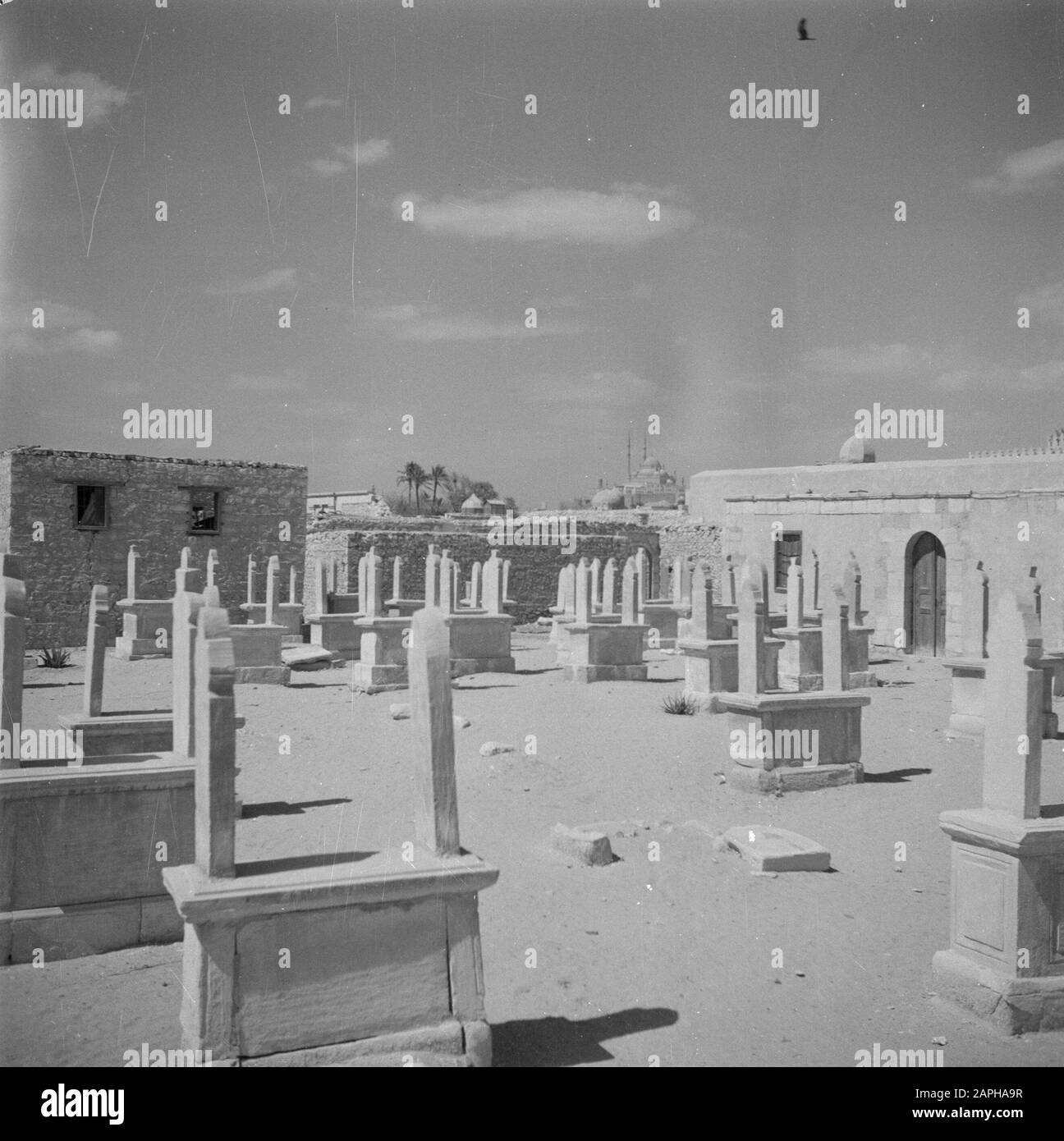 Middle East 1950-1955: Egypt Description: The City of Death in Cairo Annotation: This photo is also registered under number POLL006/B-609 Date: 1950 Location: Cairo, Egypt Keywords: cemeteries, saint posting Stock Photo