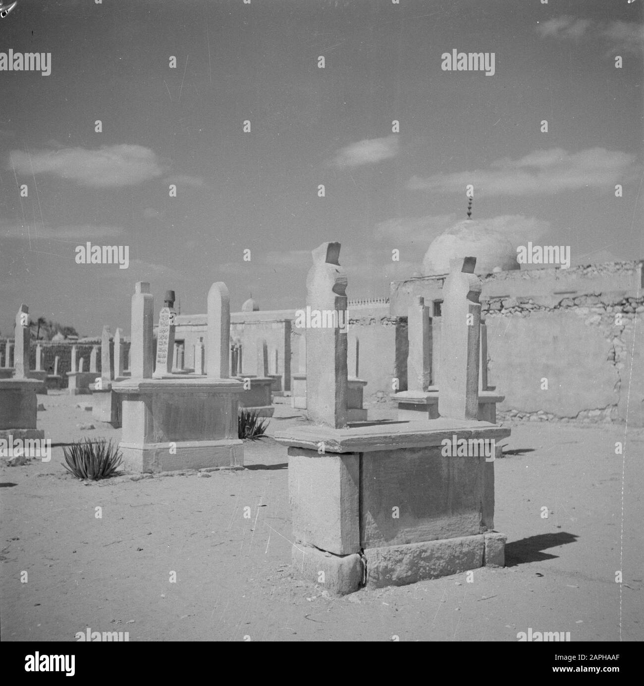 Middle East 1950-1955: Egypt Description: The City of Death in Cairo Annotation: This photo is also registered under number POLL006/B-611 Date: 1950 Location: Cairo, Egypt Keywords: cemeteries, saint posting Stock Photo