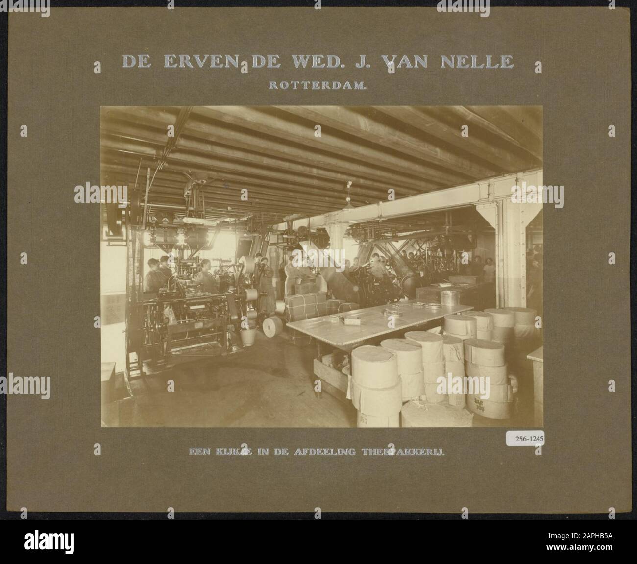 Description: The department of tea packing at the factory of the heirs the bet. J. van Nelle, Rotterdam. This is one of the photographs submitted by the Labour Inspectorate for the exhibition 'Education van den Jeugd over den school age', The Hague, July 16 - August 14, 1919 Date: Approximately 1919 Stock Photo