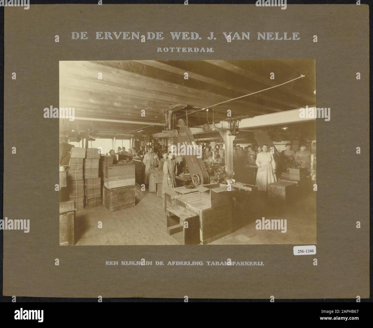Description: The tobacco pack department in the factory of the heirs the bet. J. van Nelle, Rotterdam. This is one of the photographs submitted by the Labour Inspectorate for the exhibition 'Education van den Jeugd over den school age', The Hague, July 16 - August 14, 1919 Date: Approximately 1919 Stock Photo