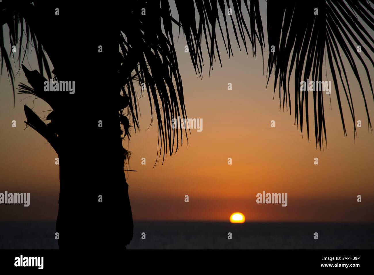 Tenerife - Sun setting over the ocean Stock Photo