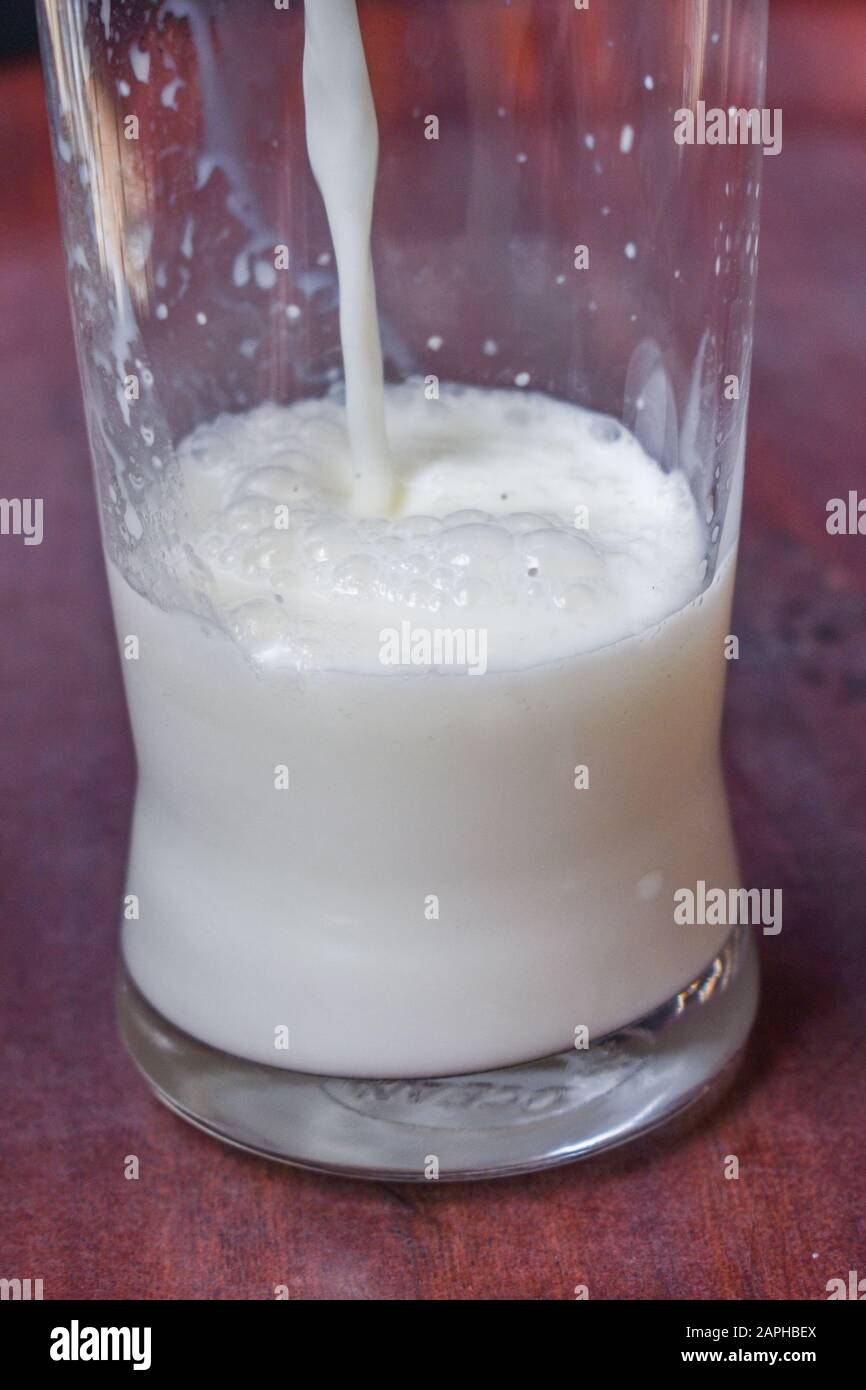 goat milk being poured into a glass. the milk is very nutritious especially for children in Africa. Stock Photo