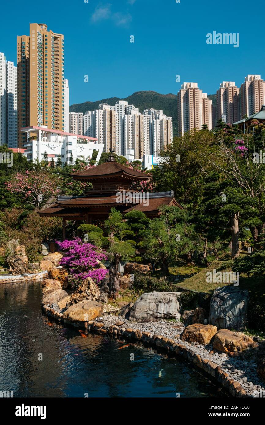 HongKong, China - November, 2019: The Nan Lian Garden next to the Chi Lin Nunnery, a large Buddhist temple in Hong Kong Stock Photo