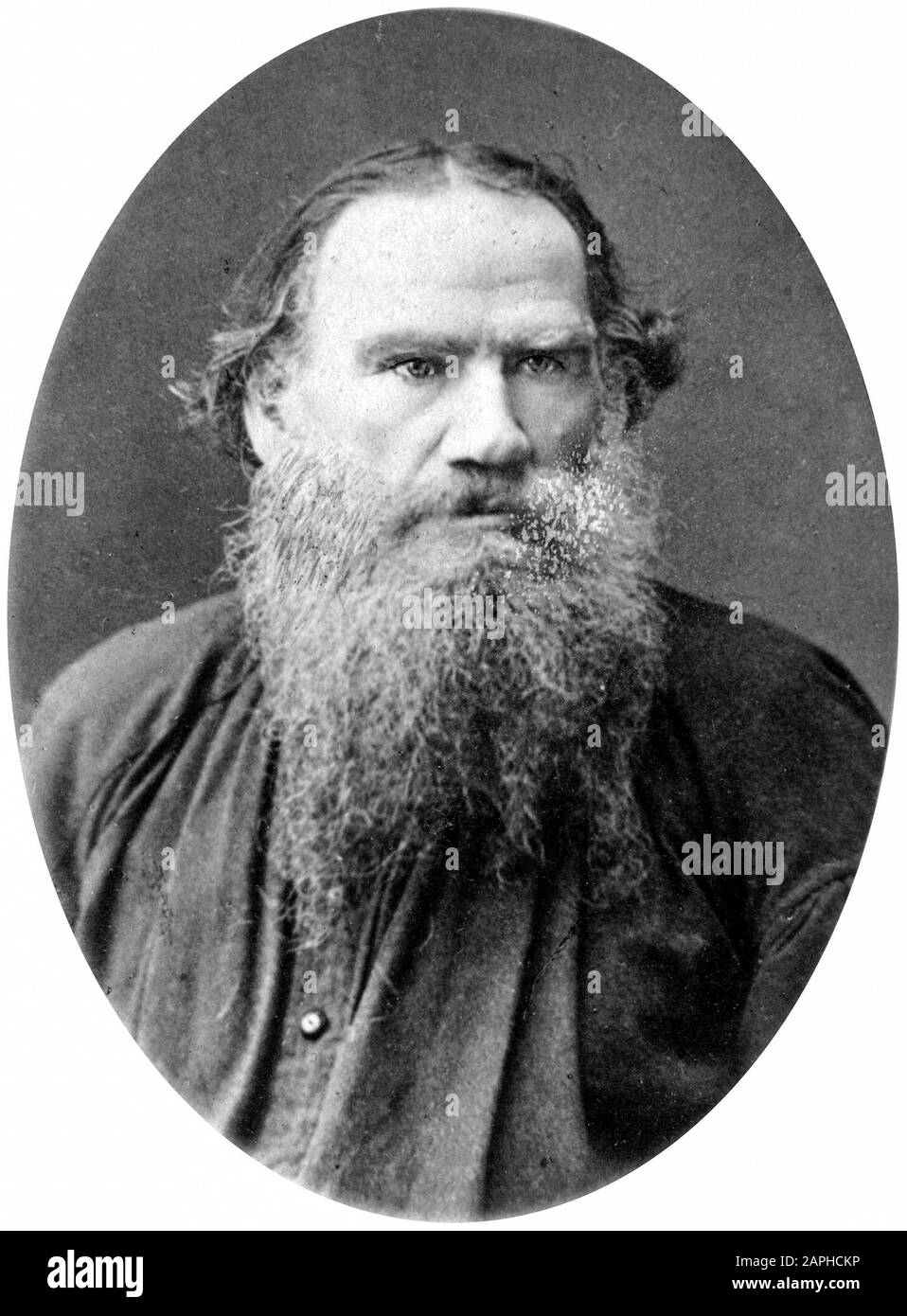 Leo Tolstoy (1828-1910), portrait photograph by Sass, 1880-1886 Stock Photo