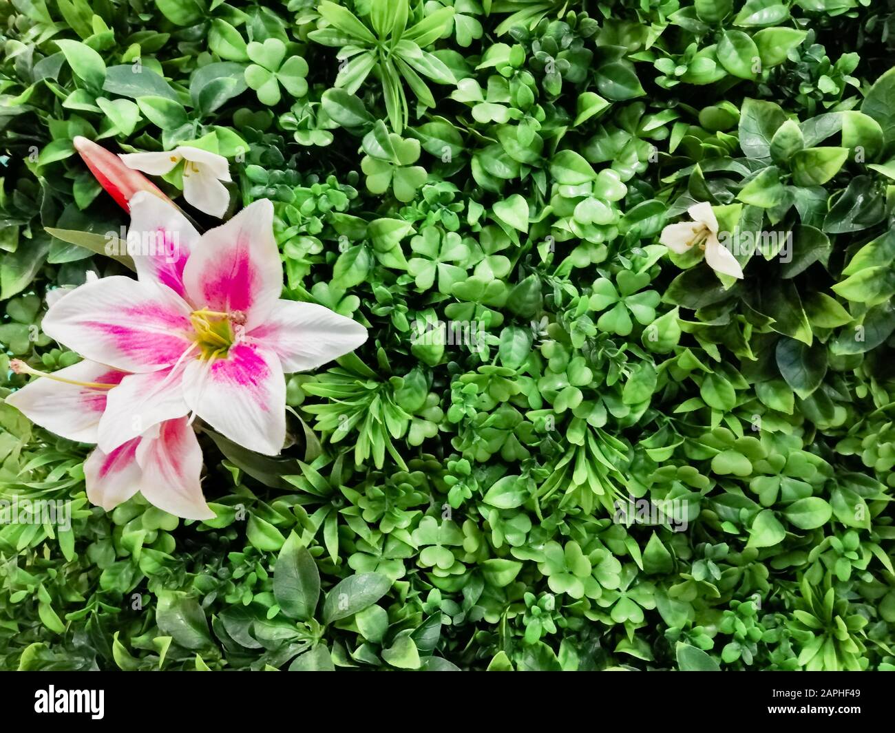 Tone On Tone Interior Garden Design Our White Border Garden