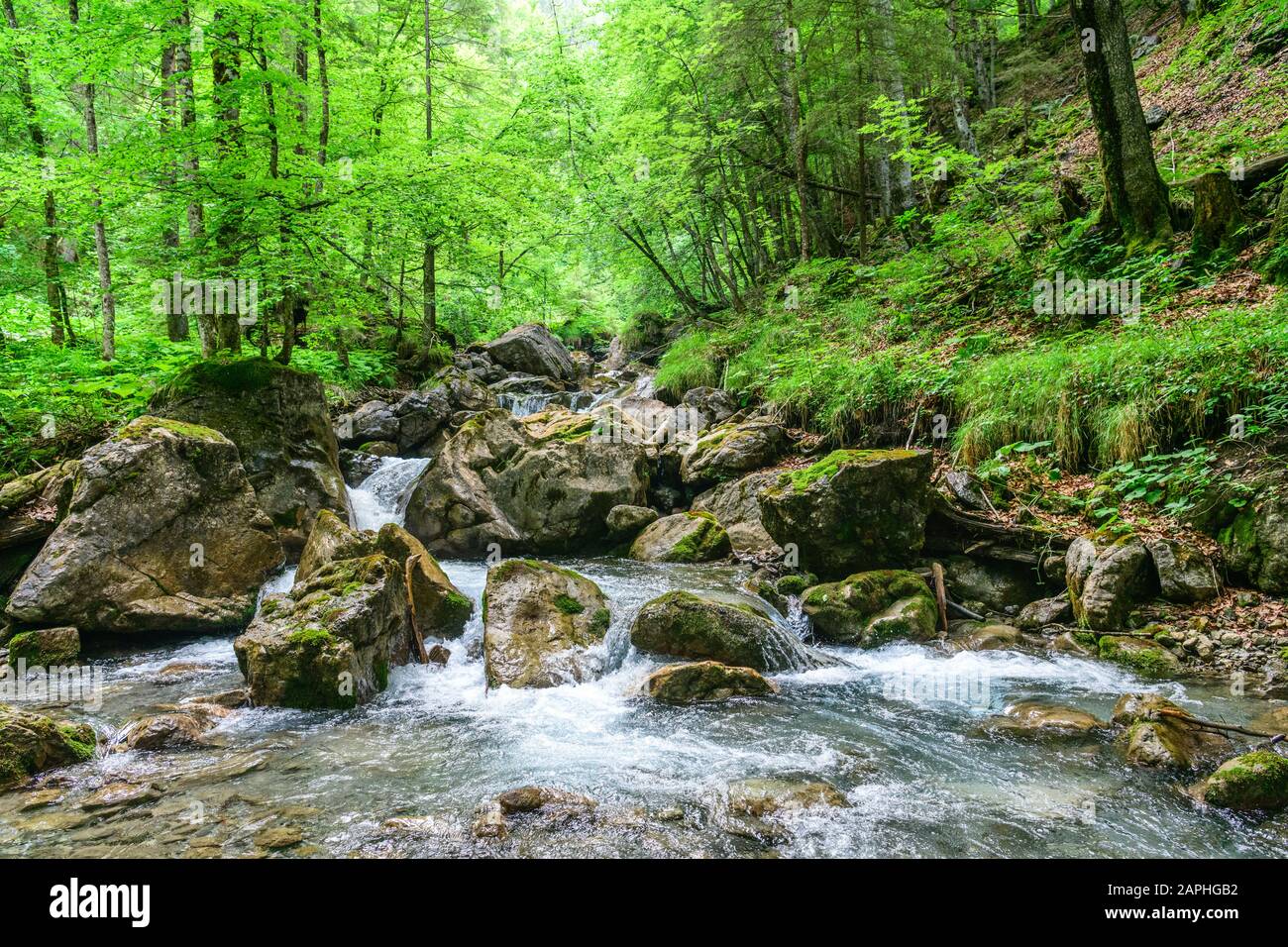 Wildromantischer Gebirgsfluss nahe Oberstdorf bei Gerstruben Stock Photo