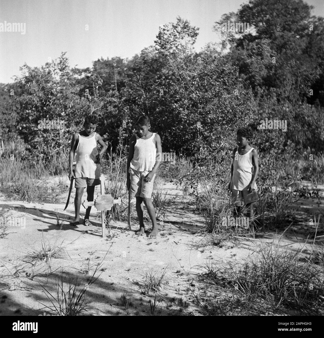 Slave Boys Hi res Stock Photography And Images Alamy slave-boys-hi-res-stock-photography-and-images-alamy
