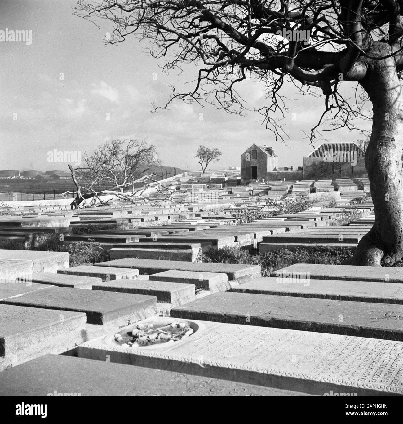Journey to Suriname and the Netherlands Antilles Description: The Jewish cemetery Beth Haïm on Curaçao with in the background manor Habaai Date: 1947 Location: Curaçao Keywords: cemeteries, graves, Jewish religion, country houses Stock Photo