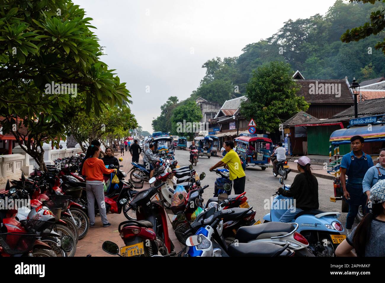 Motor scooters line a street in Luang Prabang, Laos Stock Photo - Alamy